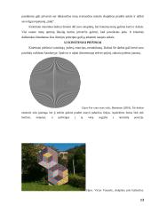 Fizika dailėje, dailė fizikoje 13 puslapis