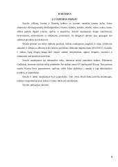 Fizika dailėje, dailė fizikoje 5 puslapis