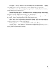 Fizika dailėje, dailė fizikoje 6 puslapis