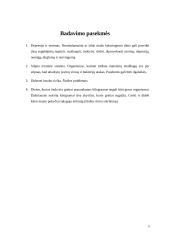 Badavimas ir to pasekmės 3 puslapis