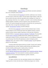 Badavimas ir to pasekmės 4 puslapis