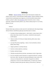 Badavimas ir to pasekmės 7 puslapis