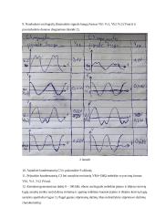 Daugiapakopio stiprintuvo tyrimo ataskaita 4 puslapis