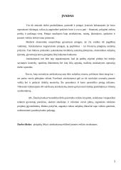 Piniginių lėšų ir atsiskaitymų reikšmė įmonės veiklos rezultatams 2 puslapis