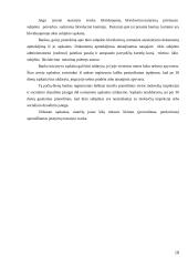 Piniginių lėšų ir atsiskaitymų reikšmė įmonės veiklos rezultatams 9 puslapis