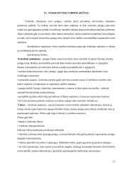 Piniginių lėšų ir atsiskaitymų reikšmė įmonės veiklos rezultatams 10 puslapis