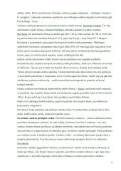 Geologinė vėjo veikla 2 puslapis