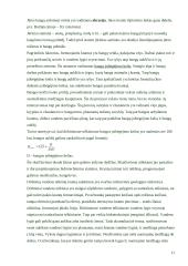 Geologinė vėjo veikla 11 puslapis