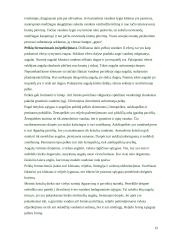 Geologinė vėjo veikla 12 puslapis