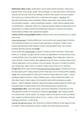 Geologinė vėjo veikla 3 puslapis