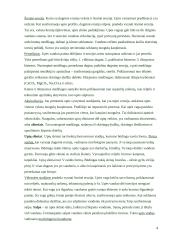 Geologinė vėjo veikla 4 puslapis