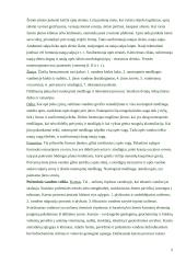 Geologinė vėjo veikla 5 puslapis