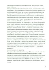 Geologinė vėjo veikla 6 puslapis