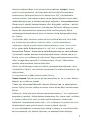 Geologinė vėjo veikla 9 puslapis