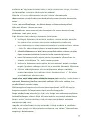 Geologinė vėjo veikla 10 puslapis