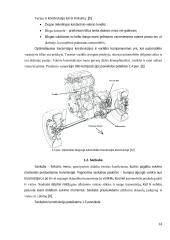 Lengvųjų automobilių transmisijos remonto technologijos UAB „Autoarta“ projektavimas  15 puslapis