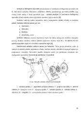 Lengvųjų automobilių transmisijos remonto technologijos UAB „Autoarta“ projektavimas  17 puslapis