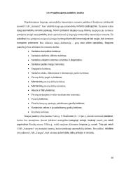 Lengvųjų automobilių transmisijos remonto technologijos UAB „Autoarta“ projektavimas  19 puslapis