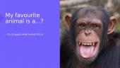 My favourite animal is a chimpanzee 2 puslapis