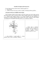 Grandininio (kilpiklinio) dygsnio sudarymo procesas 2 puslapis