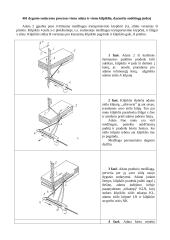 Grandininio (kilpiklinio) dygsnio sudarymo procesas 11 puslapis