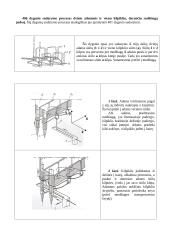 Grandininio (kilpiklinio) dygsnio sudarymo procesas 13 puslapis