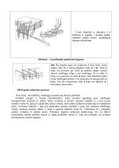 Grandininio (kilpiklinio) dygsnio sudarymo procesas 17 puslapis