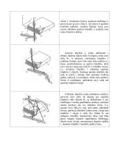 Grandininio (kilpiklinio) dygsnio sudarymo procesas 18 puslapis
