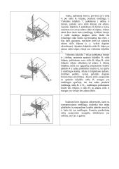 Grandininio (kilpiklinio) dygsnio sudarymo procesas 19 puslapis