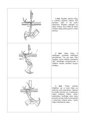 Grandininio (kilpiklinio) dygsnio sudarymo procesas 3 puslapis