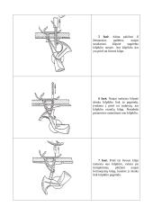 Grandininio (kilpiklinio) dygsnio sudarymo procesas 4 puslapis