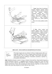 Grandininio (kilpiklinio) dygsnio sudarymo procesas 7 puslapis