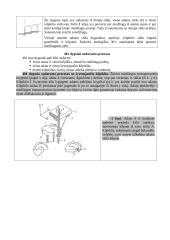 Grandininio (kilpiklinio) dygsnio sudarymo procesas 8 puslapis