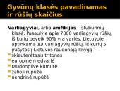 Viskas apie varliagyvius 2 puslapis