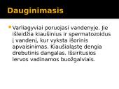 Viskas apie varliagyvius 4 puslapis