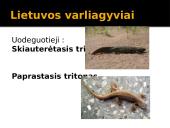 Viskas apie varliagyvius 5 puslapis