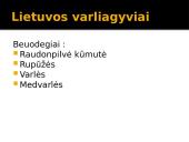 Viskas apie varliagyvius 6 puslapis