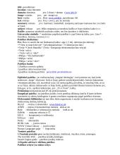 Informacija internete 2 puslapis
