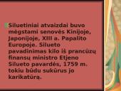 Apibendrinti vaizdai 13 puslapis