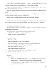 Informaciniai ištekliai 17 puslapis
