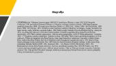 Vydūnas (tikr. Vilhelmas Storosta) 2 puslapis