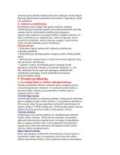 Insultas. Patofiziologija ir etiologija 11 puslapis