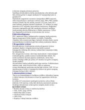 Insultas. Patofiziologija ir etiologija 4 puslapis