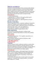 Insultas. Patofiziologija ir etiologija 7 puslapis