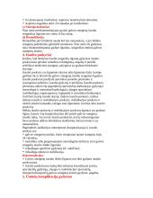 Insultas. Patofiziologija ir etiologija 9 puslapis