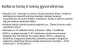 LR Konstitucija. Kultūros teisių ir laisvių įgyvendinimas ir jų problemos 5 puslapis