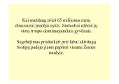 Stuburinių kilmė 13 puslapis