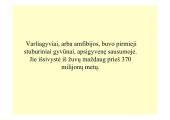 Stuburinių kilmė 7 puslapis