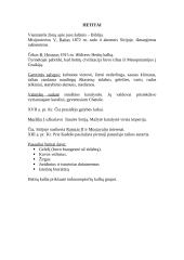 Senovės civilizacijų aprašymas 12 puslapis