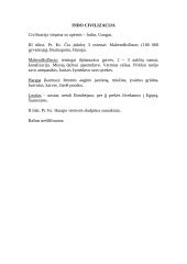 Senovės civilizacijų aprašymas 14 puslapis